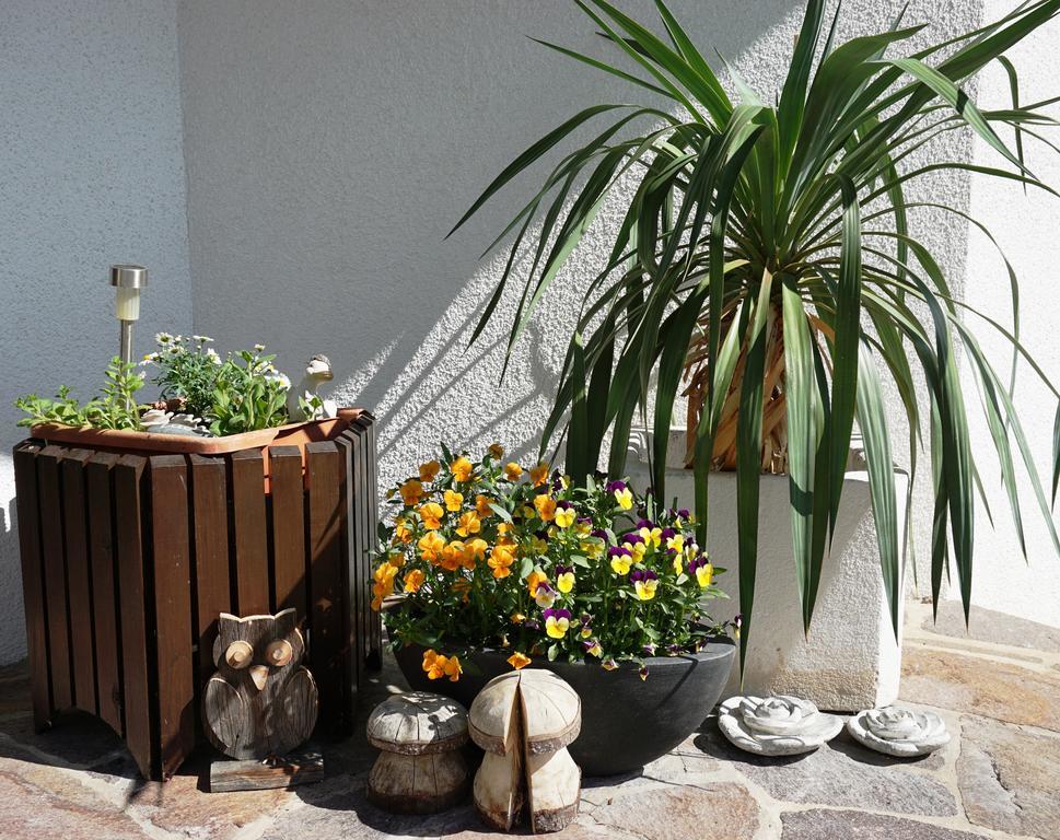 Apartment Haus Walser *